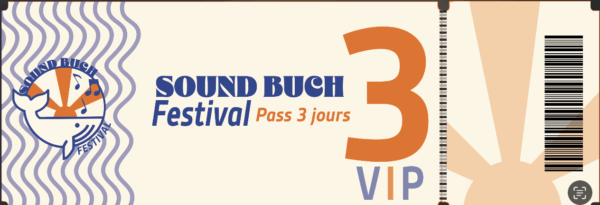 PASS 3 JOUR VIP